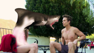 90210 Shark Attack